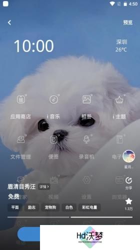 vivo主题商店