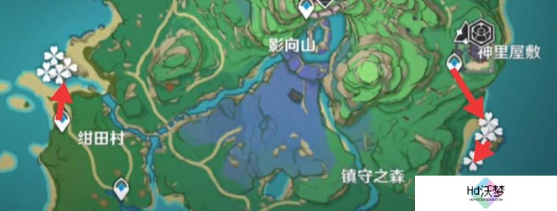 原神海灵芝收集攻略