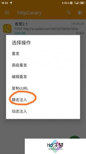 小黄鸟抓包