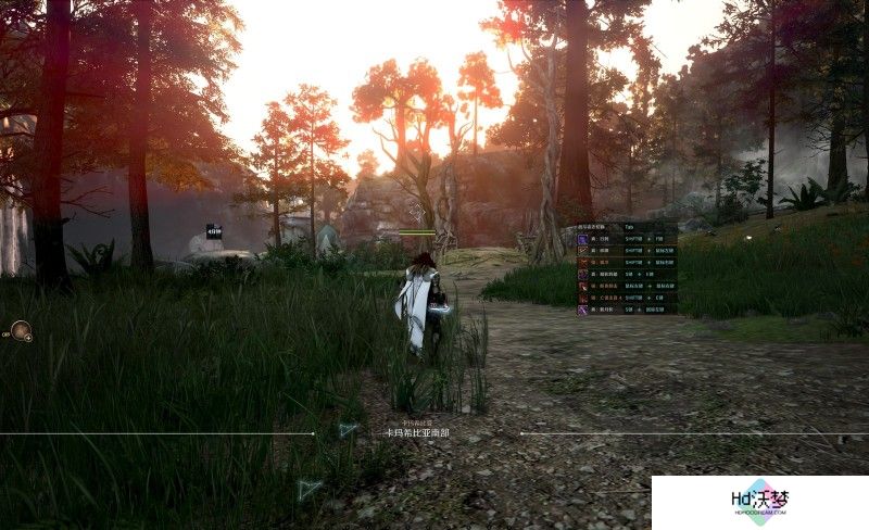 黑色沙漠端游国服首测火热，RPG游戏又迎来新的春天？