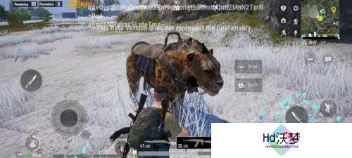 pubg国际服