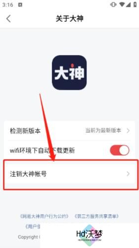 网易大神安装包