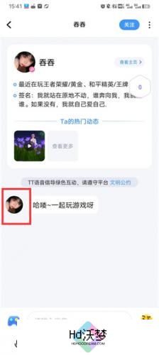 tt语音