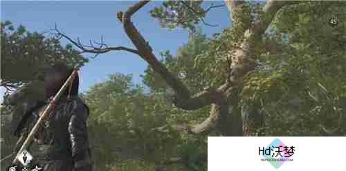 刺客信条影山城银阁寺失落的卷页位置