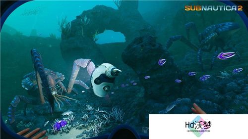 Unknown Worlds公开《Subnautica 2》最新信息