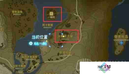 王国之泪4个大精灵之泉位置在哪儿-4个大精灵之泉位置