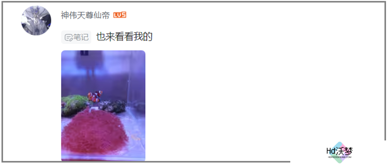 七年了，这款二游为啥还能挤进满是怪物的iOS畅销榜TOP10？