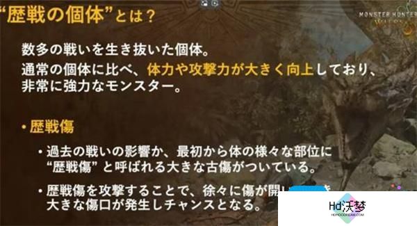 怪物猎人荒野终盘内容有什么