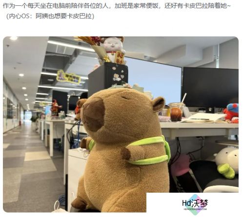 星球：重启半周年分红式发福利！真诚才是必杀技
