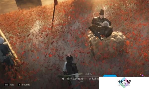 燕云十六声红缨与红缨任务如何完成