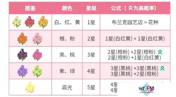 心动小镇迎春花杂交配方有哪些