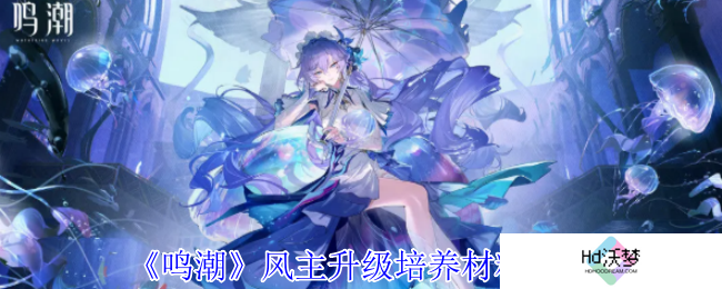 《鸣潮》风主升级培养材料一览