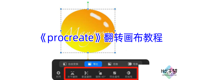 《procreate》翻转画布教程