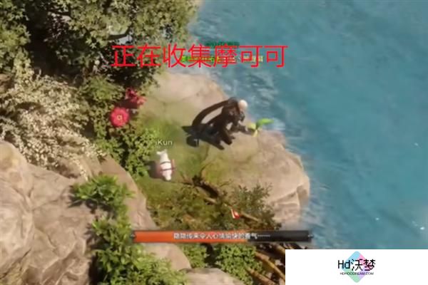 命运方舟鲸鱼岛摩可可种子在哪