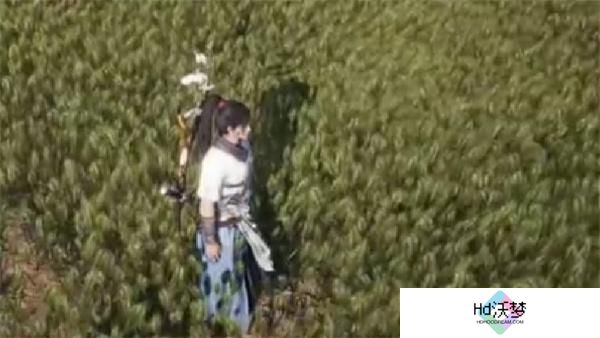 燕云十六声开封大轻功怎么获得